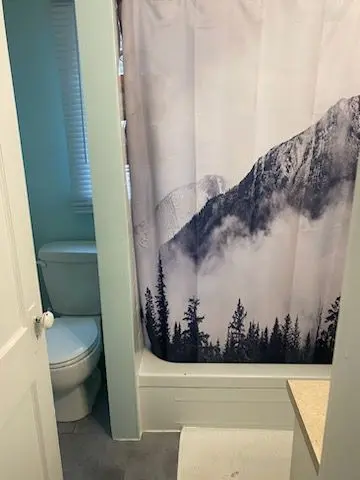 12 SHAW ST, Springwater, ON L0L 1P0