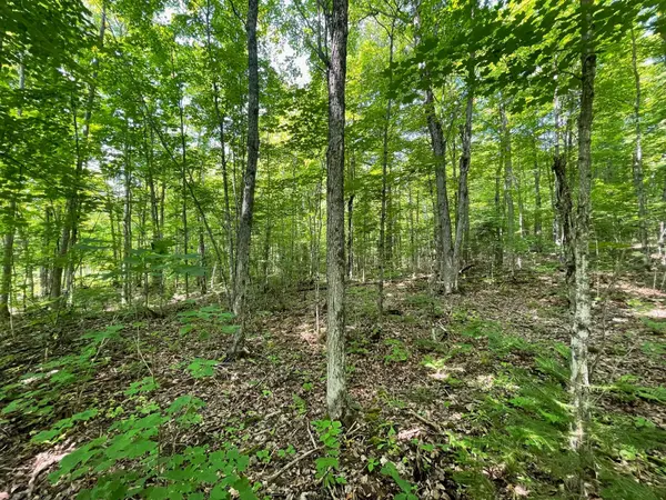 285 CHAPMAN DR, Magnetawan, ON P0A 1P0