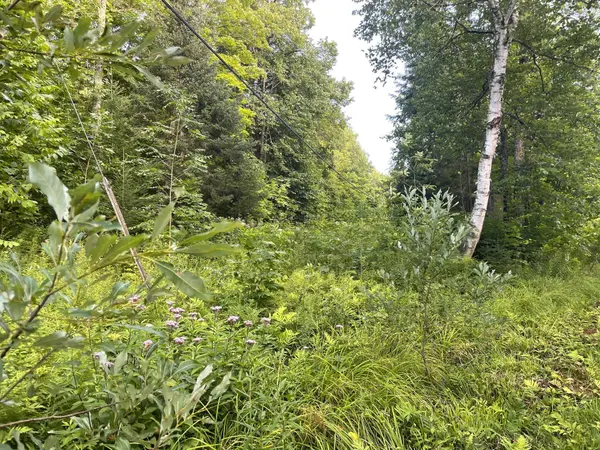 285 CHAPMAN DR, Magnetawan, ON P0A 1P0