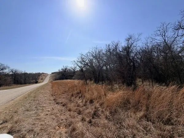 321 Sandpiper Drive, Weatherford, TX 76088