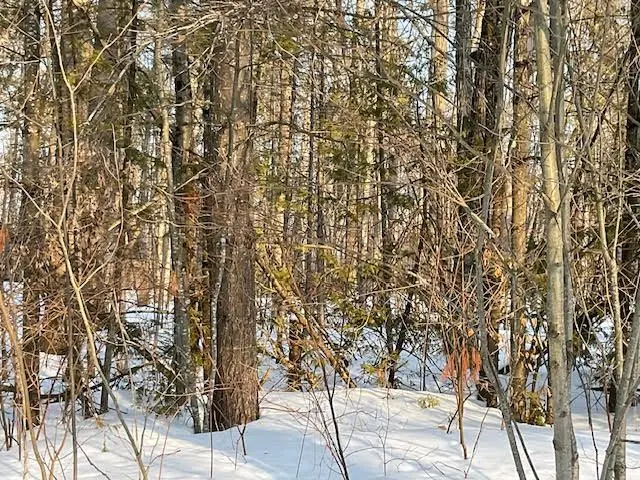 0 Sugarbush CRES, Trent Lakes, ON K0L 1J0