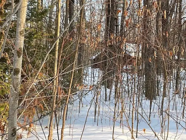 0 Sugarbush CRES, Trent Lakes, ON K0L 1J0