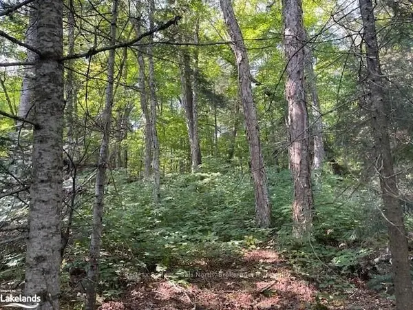 1448-3 WEST OXBOW LAKE RD, Lake Of Bays, ON P1H 2J6