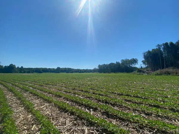 PT LT 3 County Rd 45 N/A, Hamilton Township, ON K0K 1C0