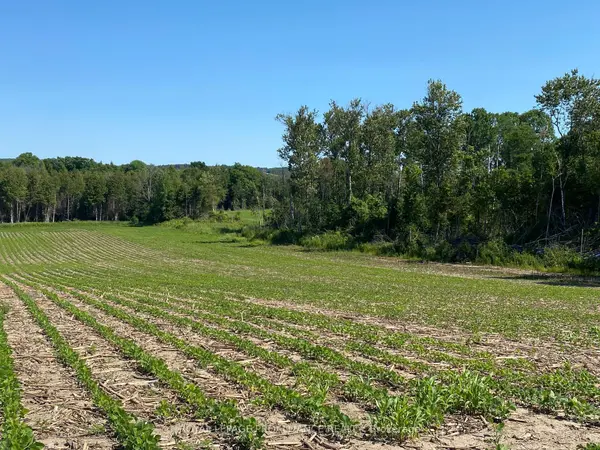 PT LT 3 County Rd 45 N/A, Hamilton Township, ON K0K 1C0