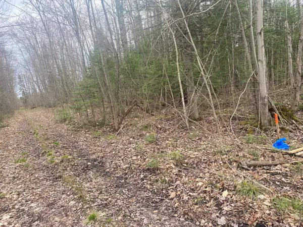 00 County Rd 44 RD, Edwardsburgh/cardinal, ON K0E 1X0