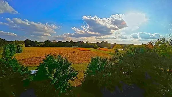 269 County Road 1008, Wolfe City, TX 75496