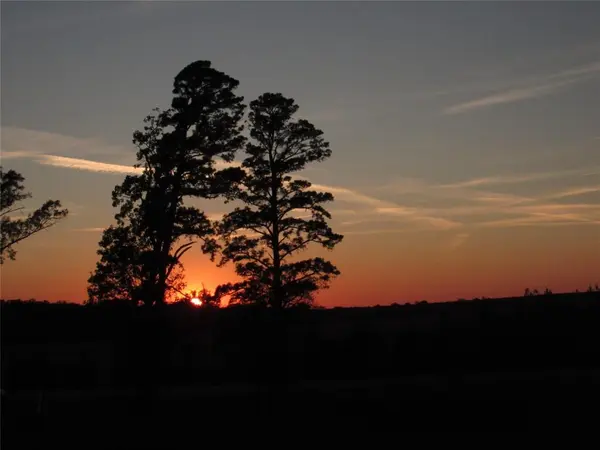 10222 US Highway 271 N, Gilmer, TX 75644