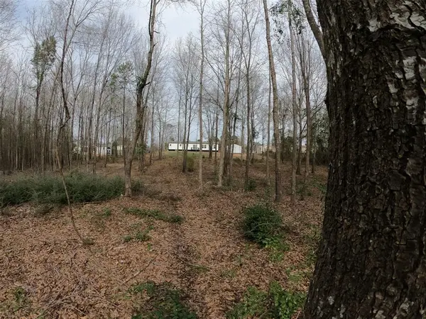 141 Tanglewood Drive, Gilmer, TX 75645