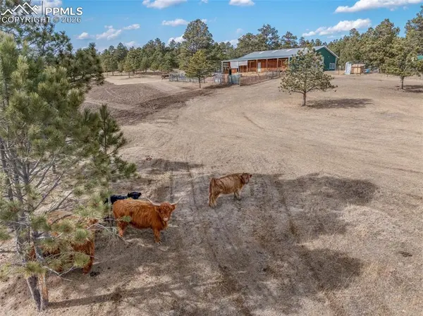 16530 Remington RD, Colorado Springs, CO 80908