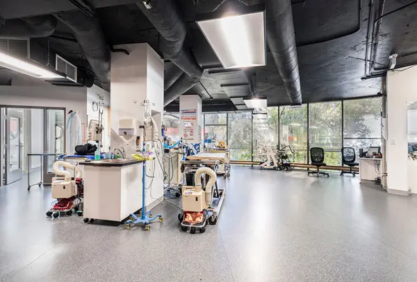 2300 CARLING AVE #205, Britannia Heights - Queensway Terrace N And Area, ON K2B 7G1