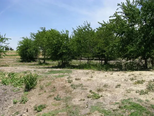 TBD County Road 404, Hamilton, TX 76531