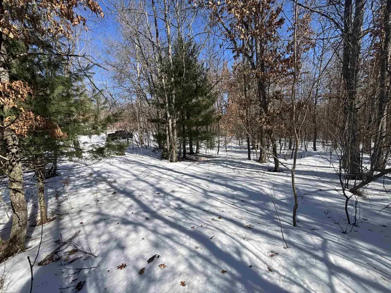 0 Pocahontas TRL, Beaver Creek Twp, MI 48653