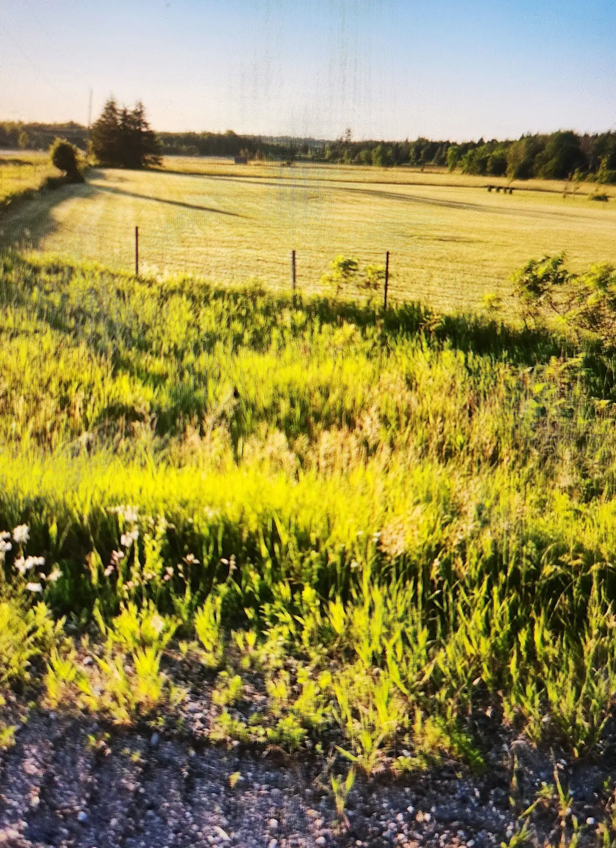 0 Sutherland RD, Whitewater Region, ON K0J 1K0