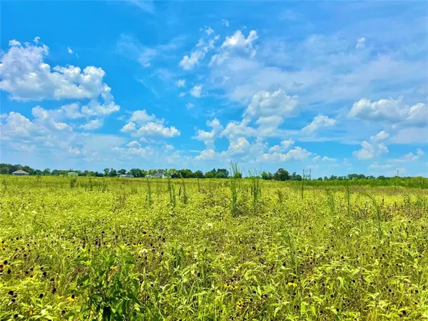 TBD Tract 23 County Rd 3644, Saltillo, TX 75471