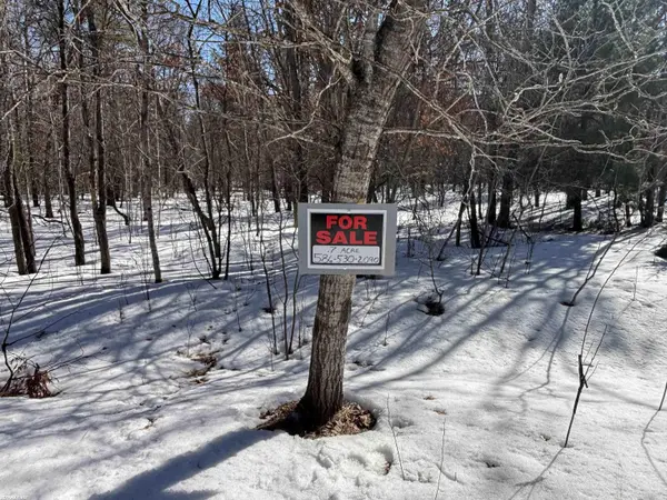 0 Pocahontas TRL, Beaver Creek Twp, MI 48653