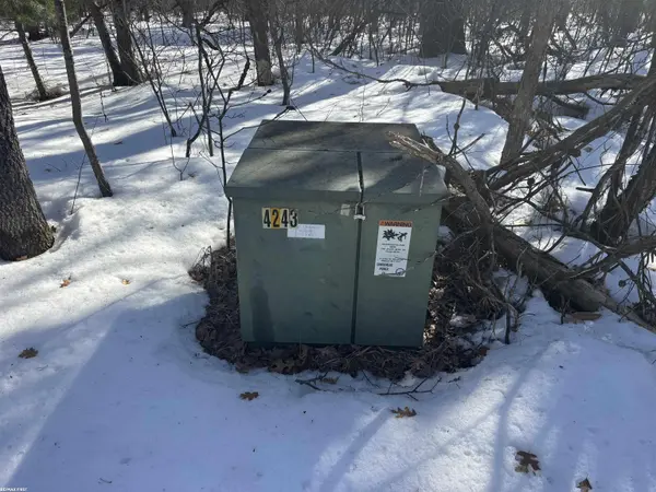 0 Pocahontas TRL, Beaver Creek Twp, MI 48653