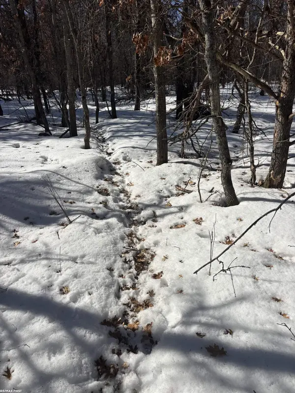 0 Pocahontas TRL, Beaver Creek Twp, MI 48653