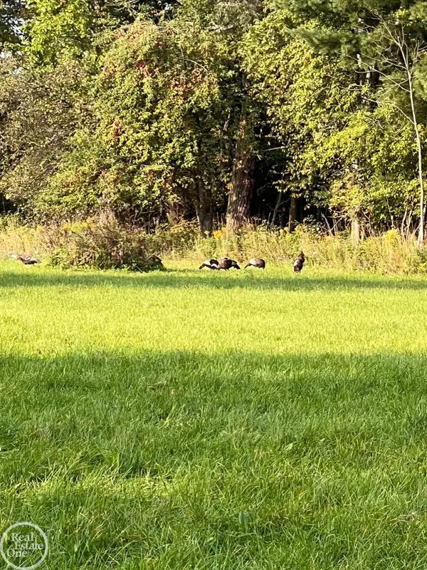 0 Harrington (Dot St.) RD, Croswell, MI 48422