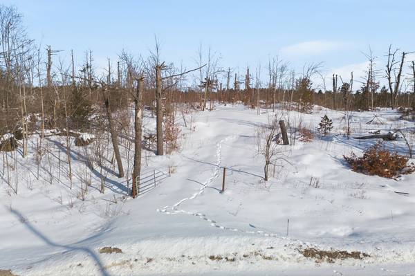 109989 HWY 7 HWY, Tweed, ON K0K 3J0