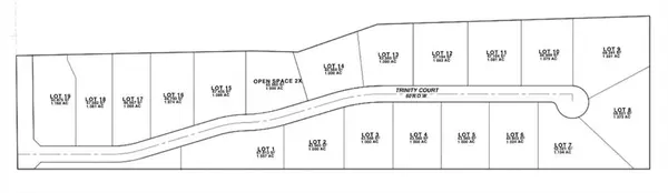 Celina, TX 75009,Lot 1-19 County Road 134