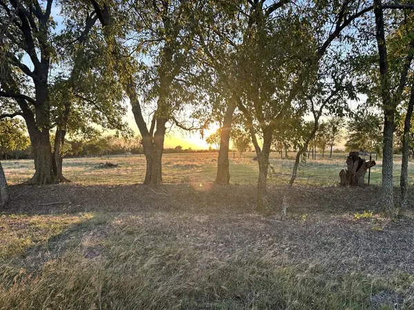 000 McConnell Road, Gunter, TX 75058