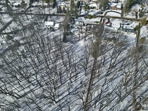 83 Devon Rd, Essex Fells Twp., NJ 07021