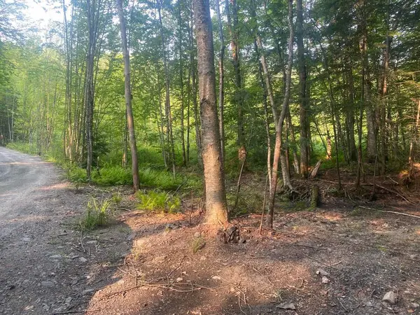 1310 Camel Lake RD #Lot # 7, Muskoka Lakes, ON P1L 1X4