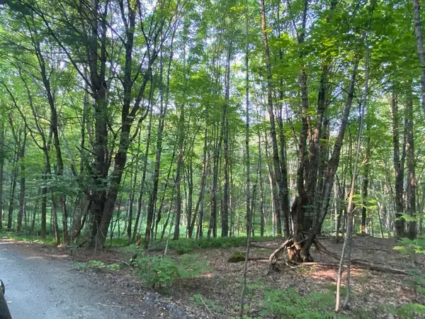 1310 Camel Lake RD #Lot # 7, Muskoka Lakes, ON P1L 1X4