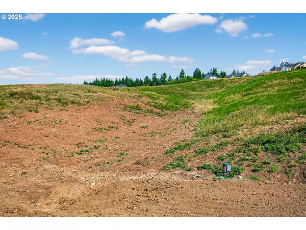 Woodland, WA 98674,143 Jordan View DR