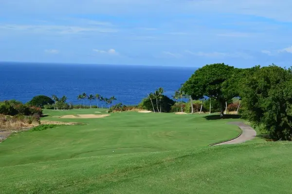 81-474 KAOO ST, Kealakekua, HI 96750