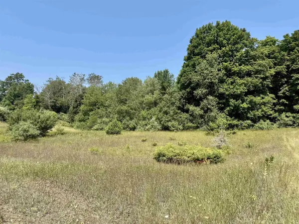 00 Alden Meadows DR, Helena Twp, MI 49612