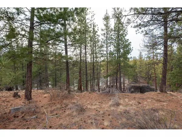 Bend, OR 97702,60793 RIVER BEND DR