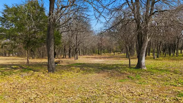 Copper Canyon, TX 76226,776 Orchid Hill Lane