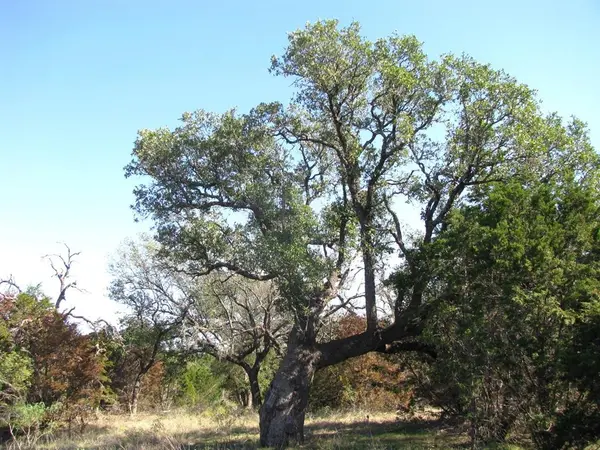 TBD PR 42112, Evant, TX 76525