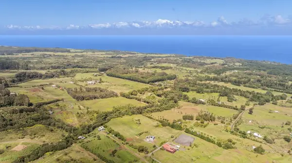 29-2584 KAIWIKI HOMESTEAD RD, Hakalau, HI 96710