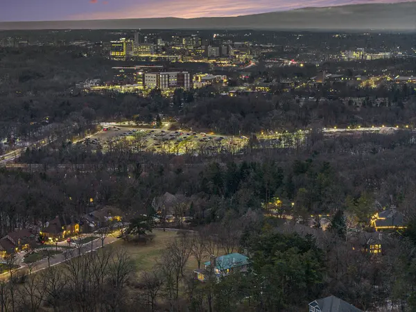 3215 W Dobson PL, Ann Arbor, MI 48105