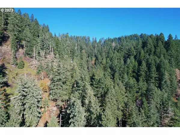 Elkton, OR 97436,0 STATE HIGHWAY 38