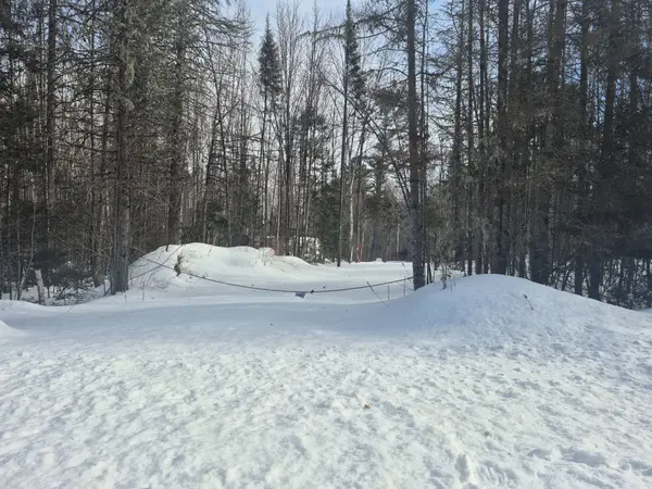 446 BURRITTS RD, Papineau-cameron, ON P0H 1V0