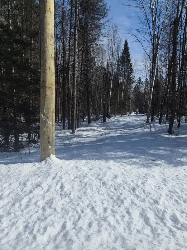 446 BURRITTS RD, Papineau-cameron, ON P0H 1V0