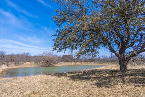 91 Acres Co Rd 370, Carbon, TX 76435