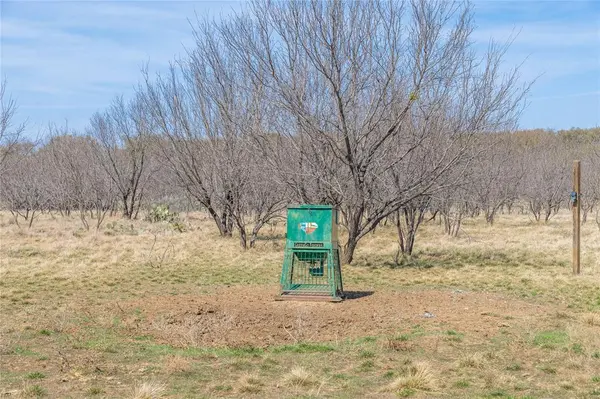 91 Acres Co Rd 370, Carbon, TX 76435