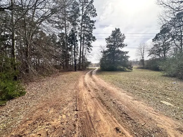 22847 FM 2215, Frankston, TX 75763