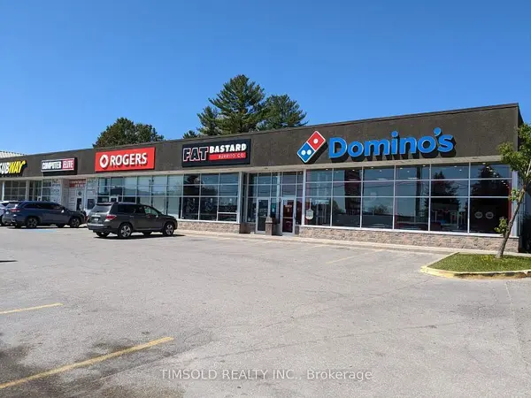 205 Memorial AVE, Orillia, ON L3V 5X8