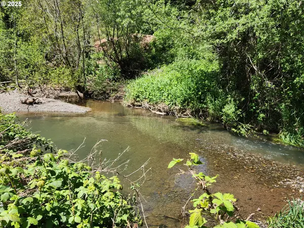 00 Cedar Valley RD #400, Gold Beach, OR 97444