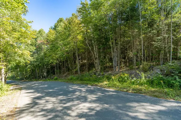 0 East Walker Lake RD, Lake Of Bays, ON P1H 2J6