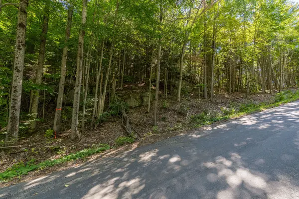 0 East Walker Lake RD, Lake Of Bays, ON P1H 2J6