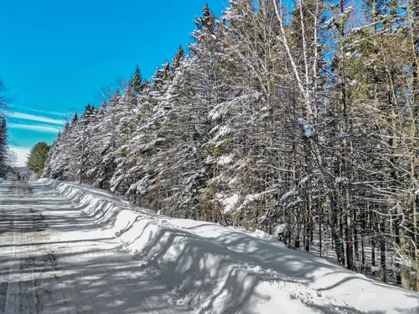 LOT 3 STONEY RD, Armour, ON P0A 1C0