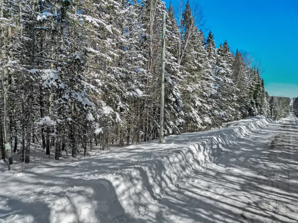 LOT 3 STONEY RD, Armour, ON P0A 1C0