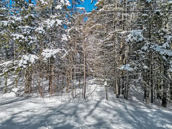 LOT 3 STONEY RD, Armour, ON P0A 1C0